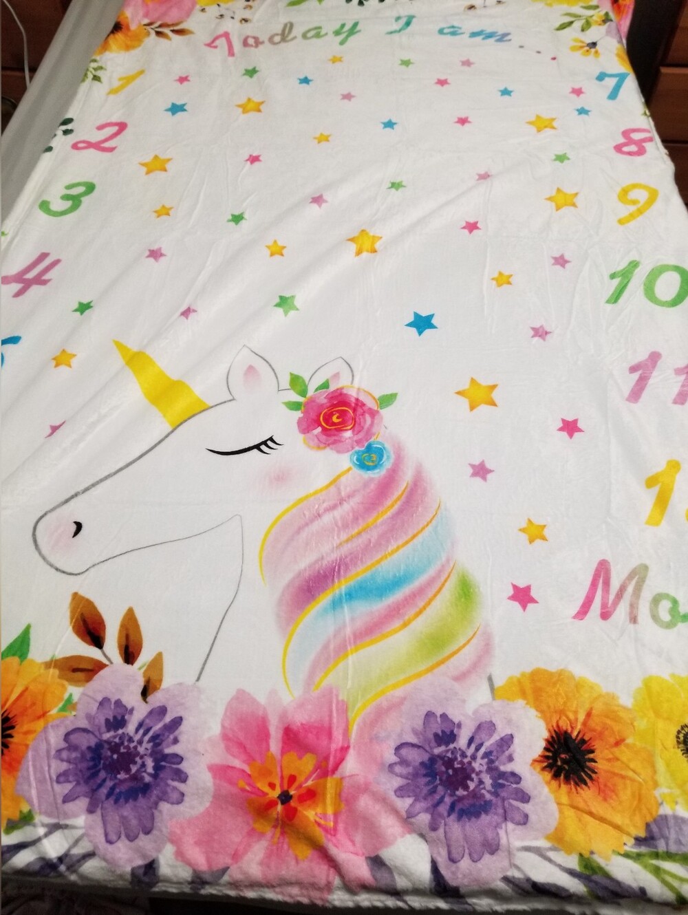 Unicorn Rainbow Plush Throw Blanket - White with Pastel Rainbow